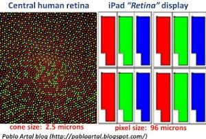 Retina humana vs Retina iPad