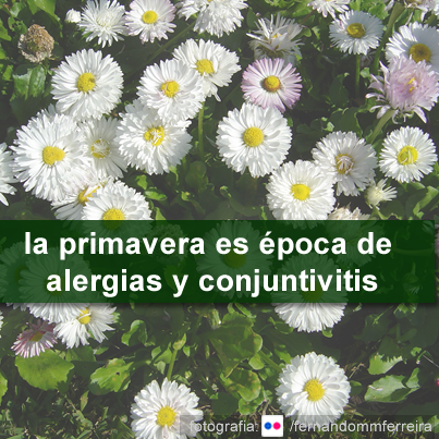 Primavera época de alergias y conjuntivitis